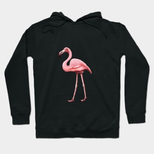 Pink Flamingo Hoodie